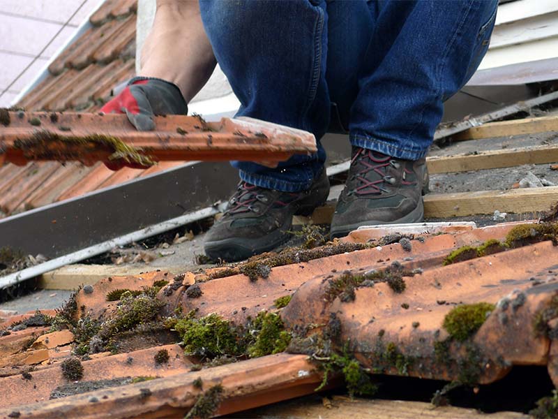 undichtes Dach reparieren in Freiburg